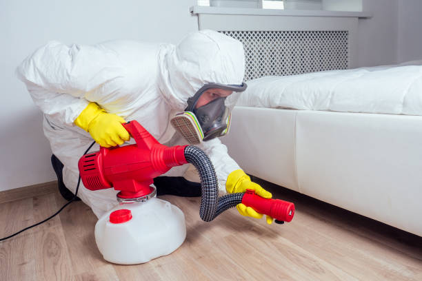 Emergency Pest Control Services in Pinehurst, ID